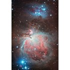 M42: Orion Nebula 11-14-12